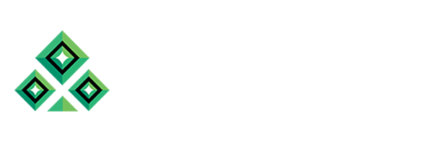 NetGame studio logo